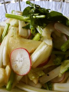 白菜とりんごのサラダ-レシピのメイン写真