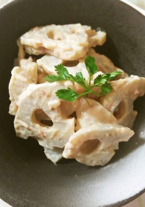 レンコンの梅肉・味噌・クリームチーズ和え-レシピのメイン写真