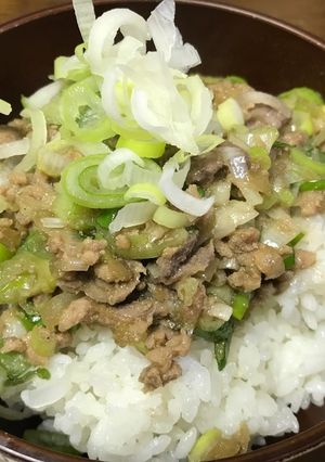 ひき肉と長ネギの甘辛丼 with レバー-レシピのメイン写真