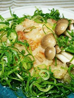 とり肉のみぞれ煮-レシピのメイン写真