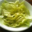 塩レタス◎醤油かけ