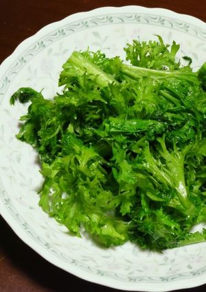 我が家の減塩　わさび菜のごま油炒め-レシピのメイン写真