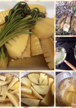 たけのことワラビの煮物-レシピのメイン写真