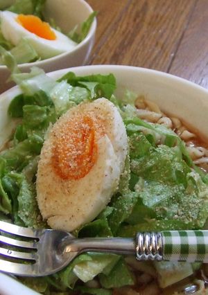 ☆艶うどんでサラダうどん☆-レシピのメイン写真