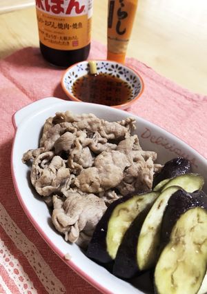 からしポン酢でいただく！さっぱりナス豚-レシピのメイン写真