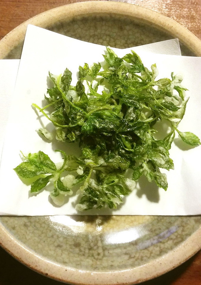 姫うこぎのかき揚げ-レシピのメイン写真