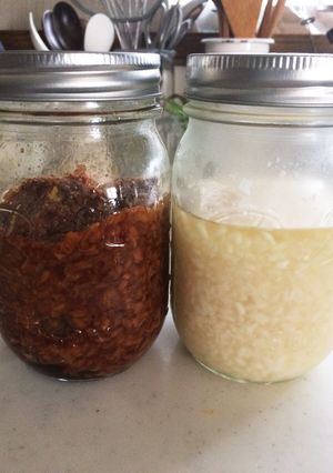 塩麹と醤油麹をヨーグルトメーカーで！-レシピのメイン写真