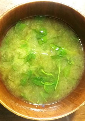 姫うこぎのお味噌汁-レシピのメイン写真