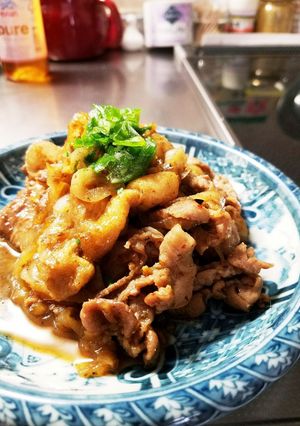 簡単!玉ねぎ、豚肉、薄揚げの旨煮-レシピのメイン写真
