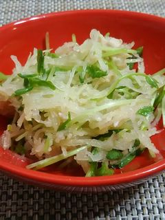 刺身のつまナムル-レシピのメイン写真
