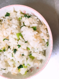 小松菜としらすの混ぜご飯-レシピのメイン写真
