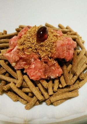 犬ご飯　長寿一番×馬肉×エゴマ-レシピのメイン写真