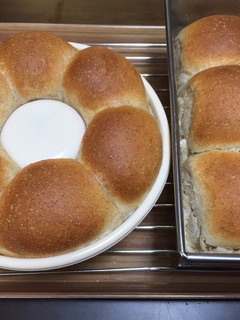 全粒粉でミニ食パン-レシピのメイン写真