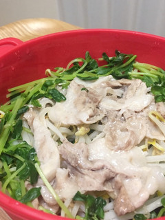 豆苗と豚バラ肉のレンジ蒸し-レシピのメイン写真