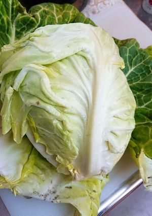 キャベツを新鮮なまま長期保存する方法-レシピのメイン写真