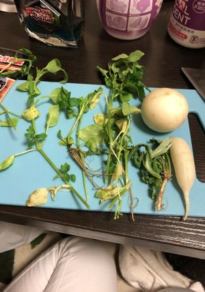 七草粥-レシピのメイン写真