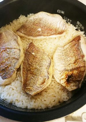 炊飯器で、簡単☆鯛めし-レシピのメイン写真