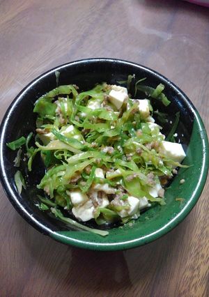 レンジで簡単！千切りキャベツで麻婆豆腐-レシピのメイン写真