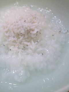 離乳食・初期・中期■しらすがゆ-レシピのメイン写真