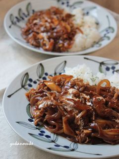 ハンバーグソースが余ったらハヤシライス!-レシピのメイン写真