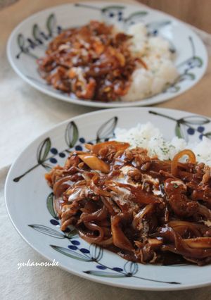 ハンバーグソースが余ったらハヤシライス!-レシピのメイン写真