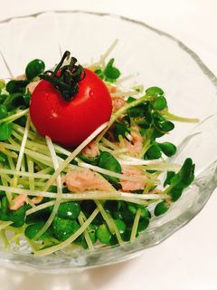 カイワレとツナのサラダ:-)-レシピのメイン写真