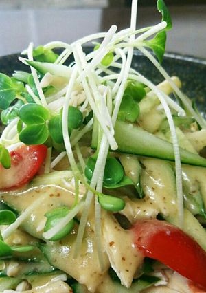 鳥胸肉柔らかジューシー飽きないタレNO5-レシピのメイン写真