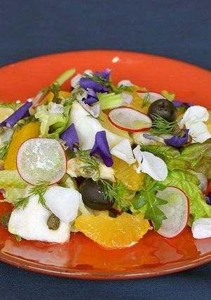 春の柑橘と野菜　アオヤギ貝のサラダ仕立て-レシピのメイン写真