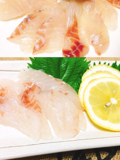 スズキの刺身&昆布締め-レシピのメイン写真