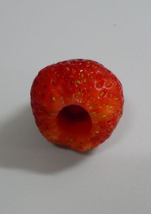 苺などの果物や野菜の穴開けに♪-レシピのメイン写真