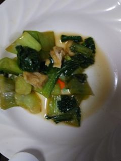 チンゲン菜炒め-レシピのメイン写真