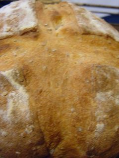 天然酵母のゴマパン-レシピのメイン写真