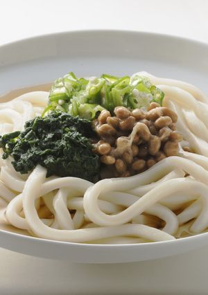 ネバネバぶっかけうどん-レシピのメイン写真