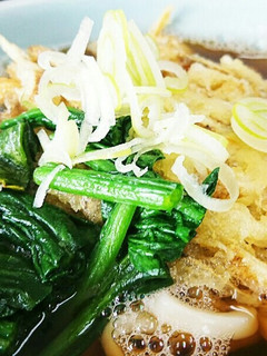 自家製メンツユと出し醤油でかき揚げうどん-レシピのメイン写真
