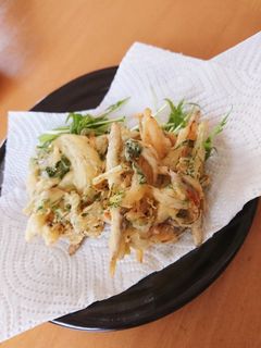 春のかき揚げ♪いかなごと新玉ねぎ-レシピのメイン写真