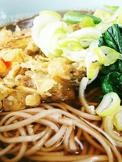 自家製メンツユとかつお醤油でかき揚げ蕎麦-レシピのメイン写真