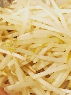 火を使わない?時短簡単ゆでもやし!-レシピのメイン写真