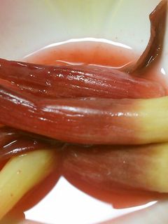 茎みょうがの梅肉漬け-レシピのメイン写真