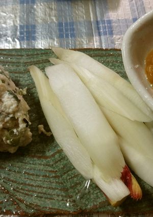 ウドの葉先で白和えと茎の酢味噌-レシピのメイン写真