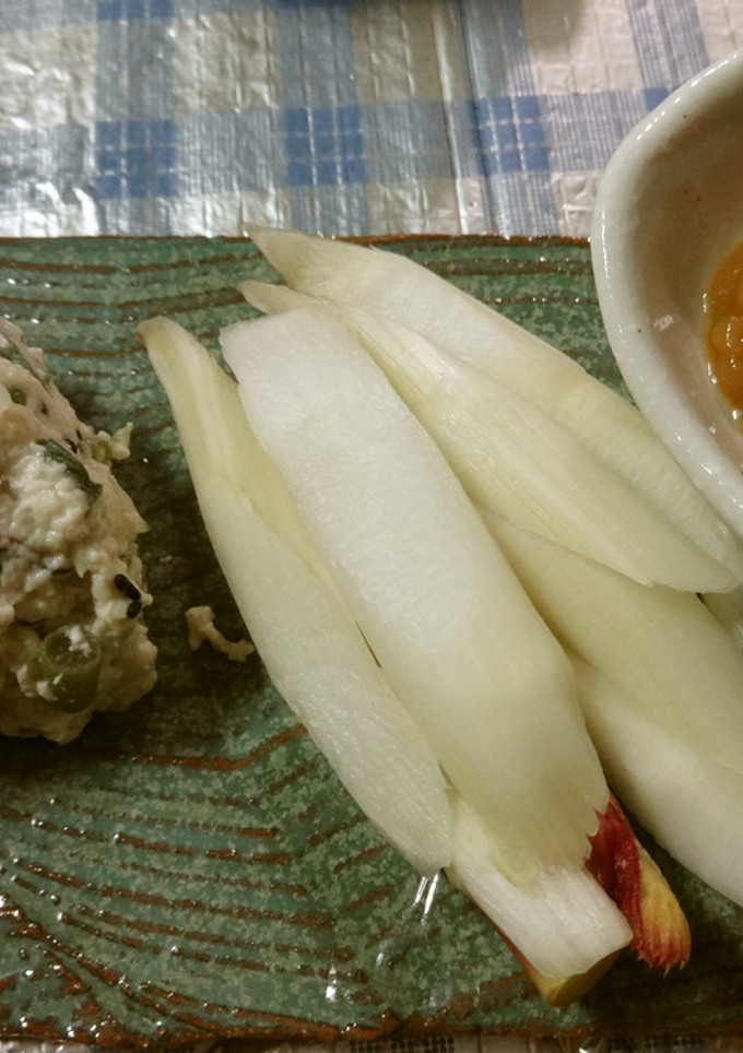 ウドの葉先で白和えと茎の酢味噌-レシピのメイン写真