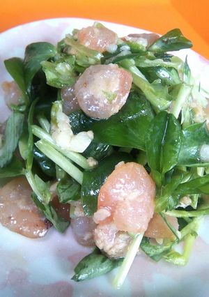 芝えびのマヨプラー炒めとそら豆苗のサラダ-レシピのメイン写真