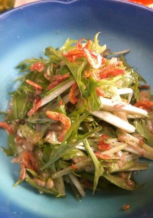 水菜と干し桜えびの胡麻豆腐和え-レシピのメイン写真