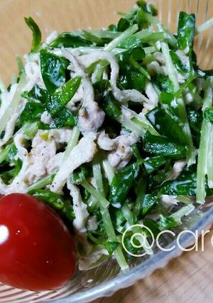 【簡単】切り干し大根と豆苗のサラダ-レシピのメイン写真