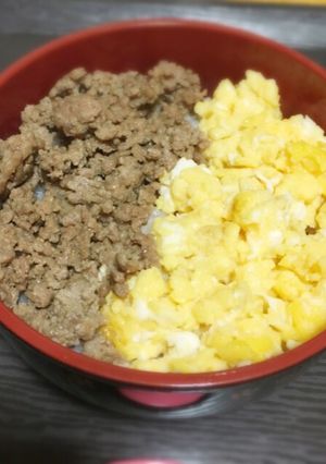 そぼろ丼-レシピのメイン写真