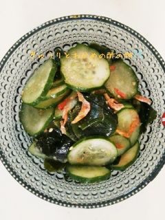きゅうりとわかめの酢の物-レシピのメイン写真