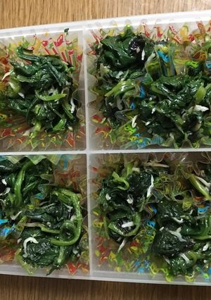 お弁当のグリーンに！ほうれん草ナムル-レシピのメイン写真