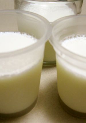 ゼライスで作る牛乳プリン-レシピのメイン写真