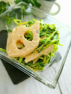 簡単!れんこんと豆苗のマヨポンサラダ-レシピのメイン写真