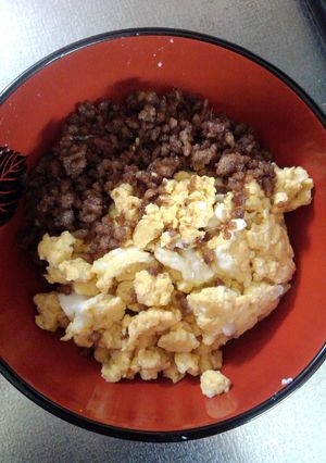 ご飯が止まらない！挽き肉卵の2色そぼろ丼-レシピのメイン写真