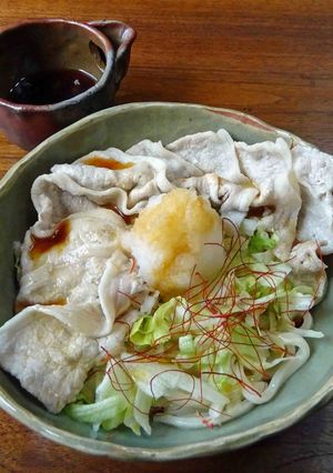 豚しゃぶぶっかけうどん-レシピのメイン写真
